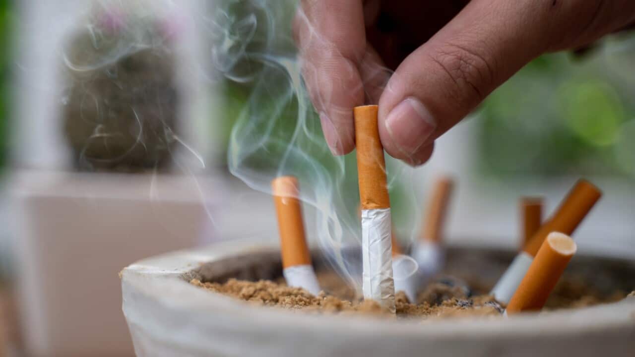 Image for read more article 'READ MORE'