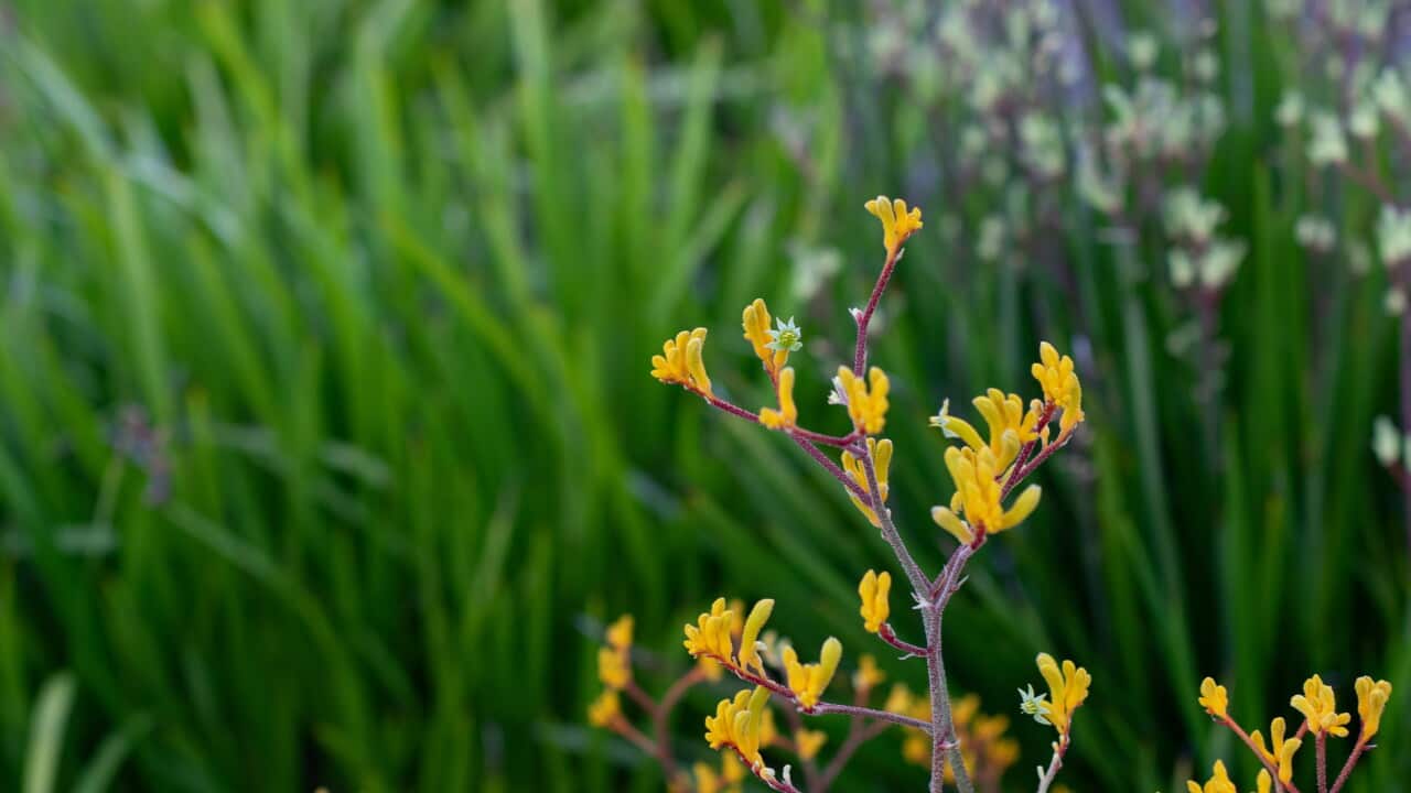 amber-bc-qW1-RB0U2Aw-unsplash.jpg