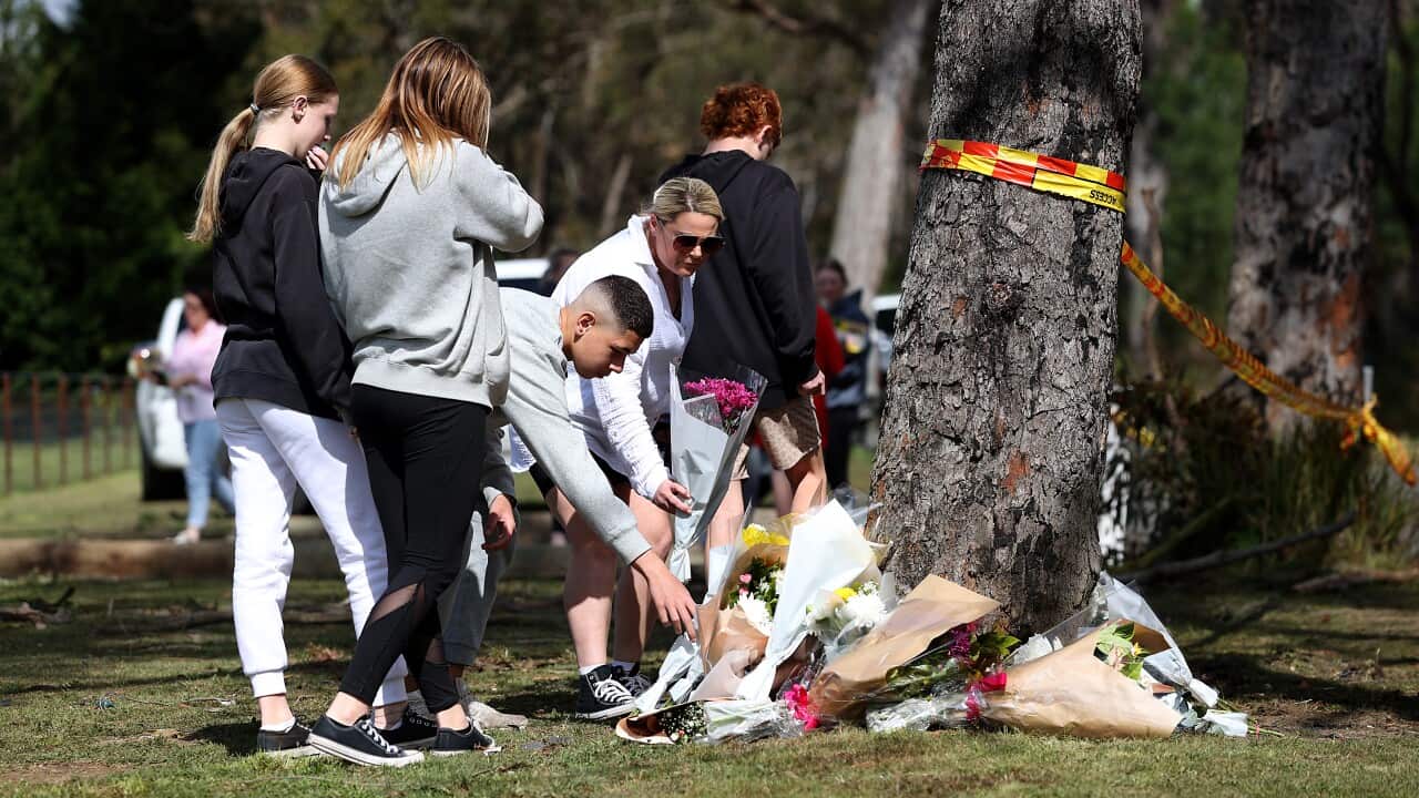 People leave flowers at the bottom of a tree