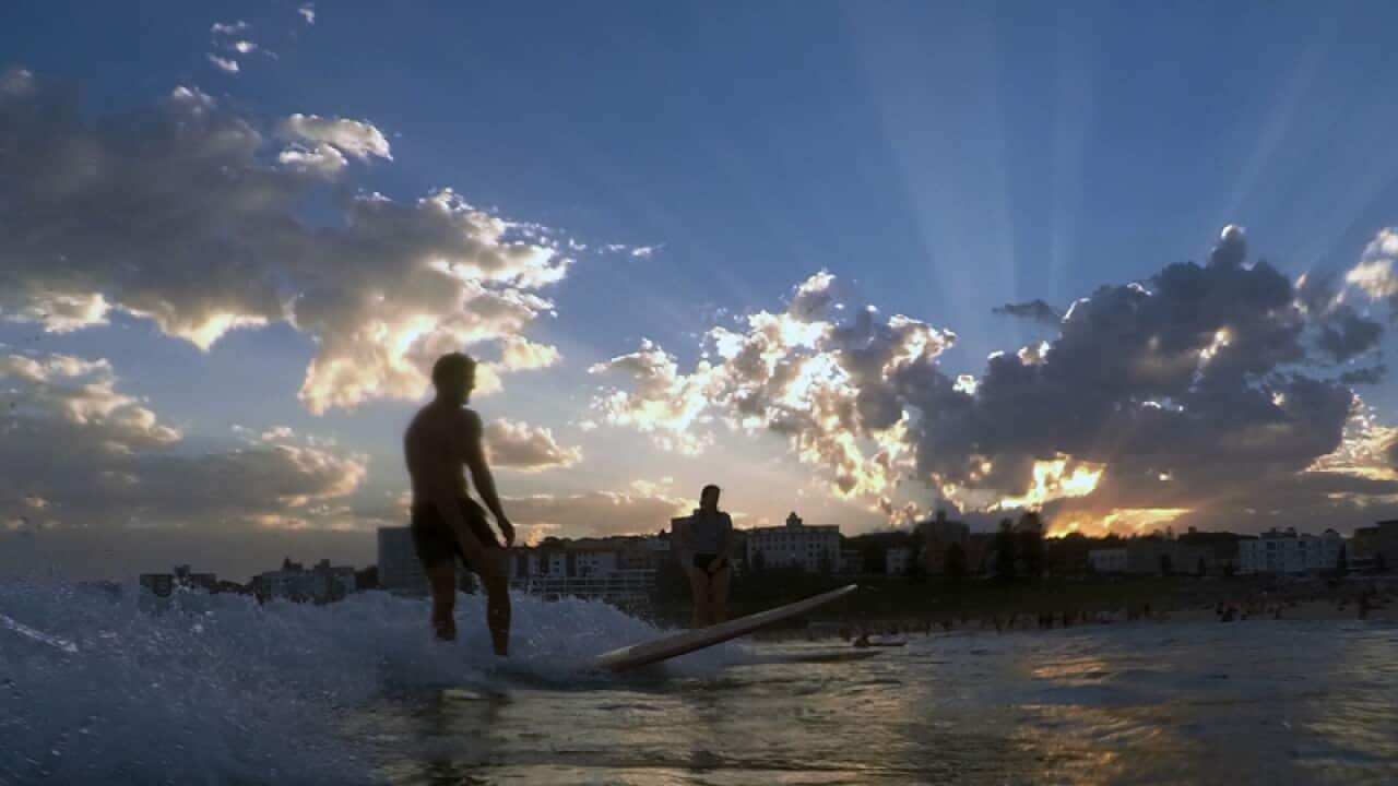 A surfer rides a wave at Bondi Beach in Sydney
