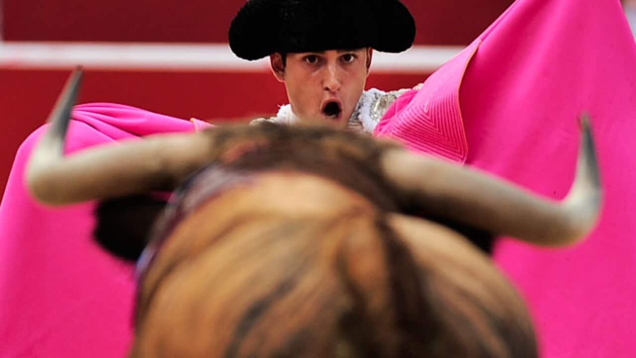 bullfighter_b_110923_AAP_577763079