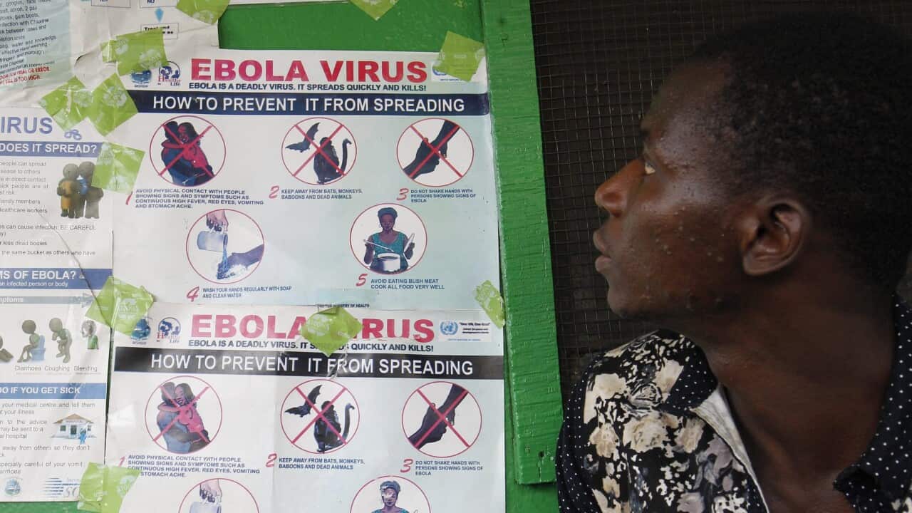 File photo of a Liberian man reading Ebola preventive messages on a bulletin at a hospital in Monrovia, Liberia, 26 November 2015.