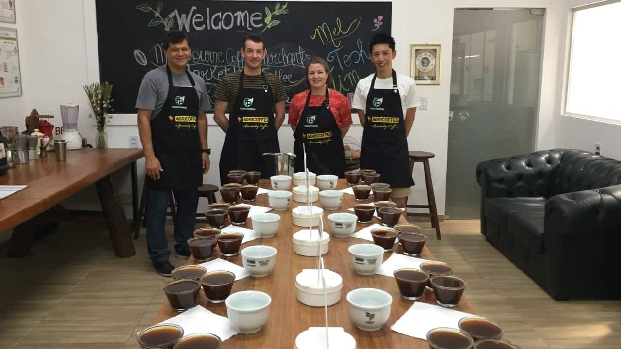 Cupping lab/Office of Agricafe at Salvador (Toshiyuki Ishiwata)