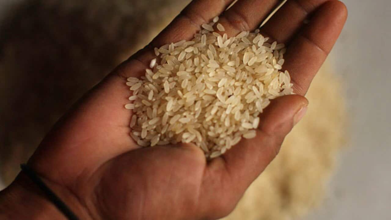 rice_b_111101_getty_243355475