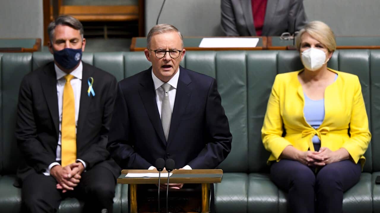 ANTHONY ALBANESE BUDGET22 REPLY