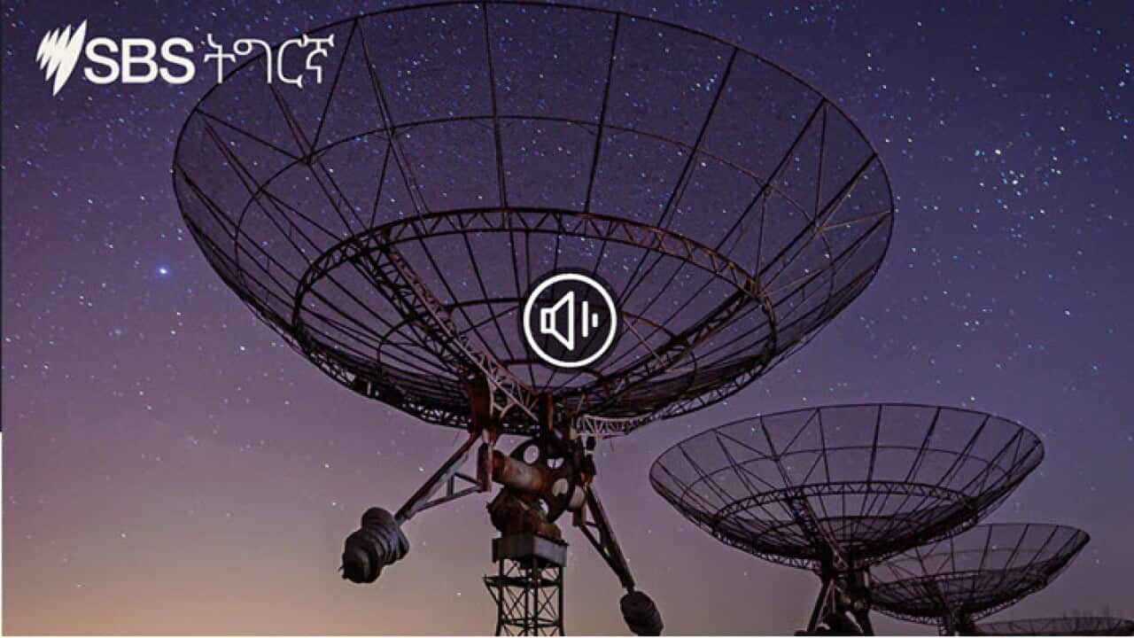 SBS Tigrinya News Homeland Report