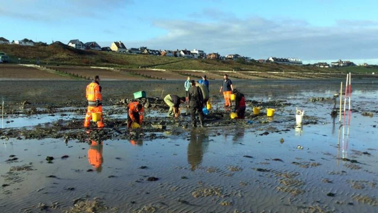 16th Century Tudor Shipwreck found in the UK.
