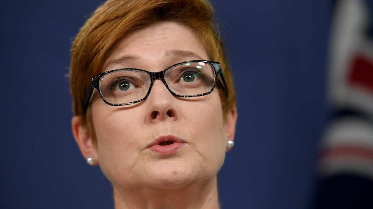 Marise Payne addressing media
