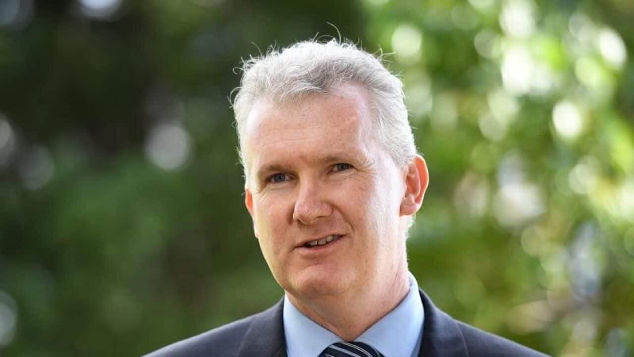 Tony Burke MP