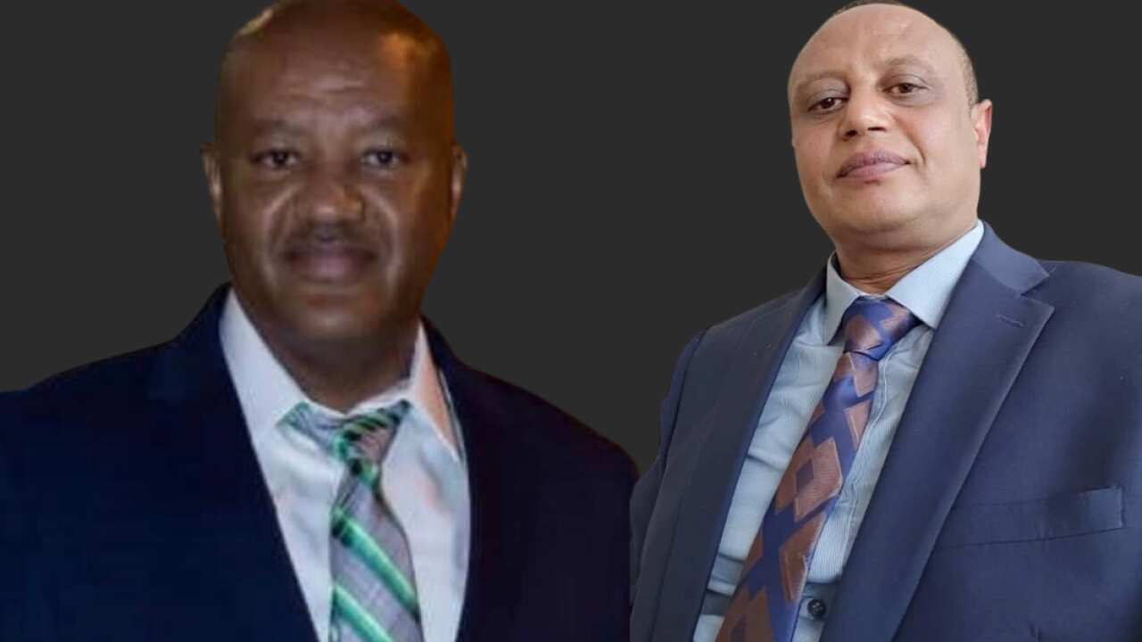 Fitsum and Geletaw I.png