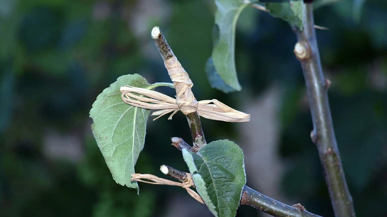 Image for read more article 'READ MORE'