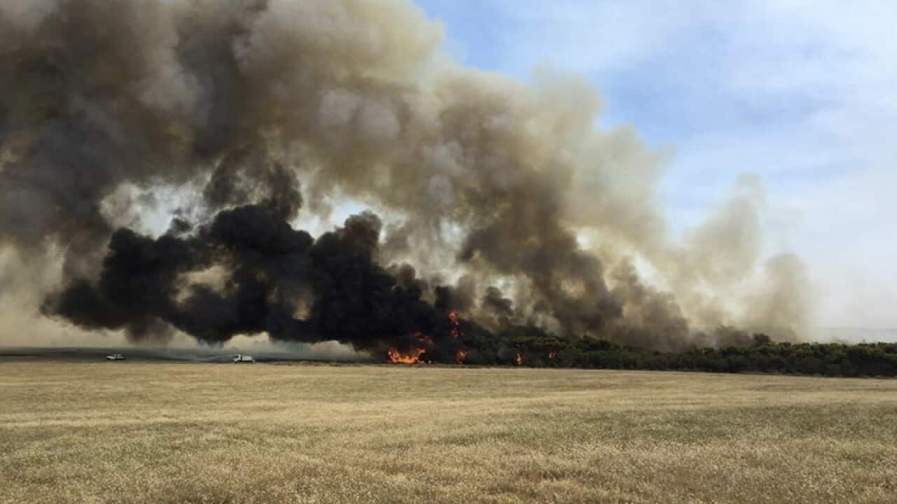 A bushfire burning out of control near Esperance