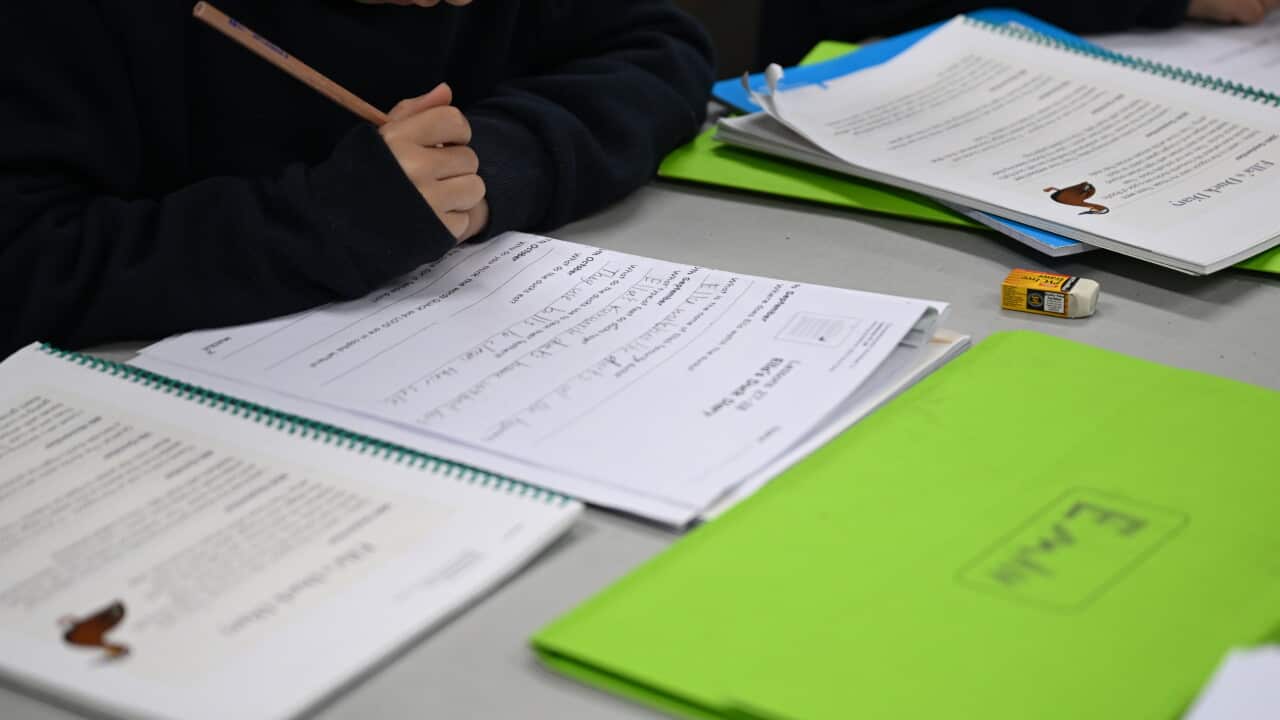 A child holds a pencil, looking over a number of papers and binders on a desk.