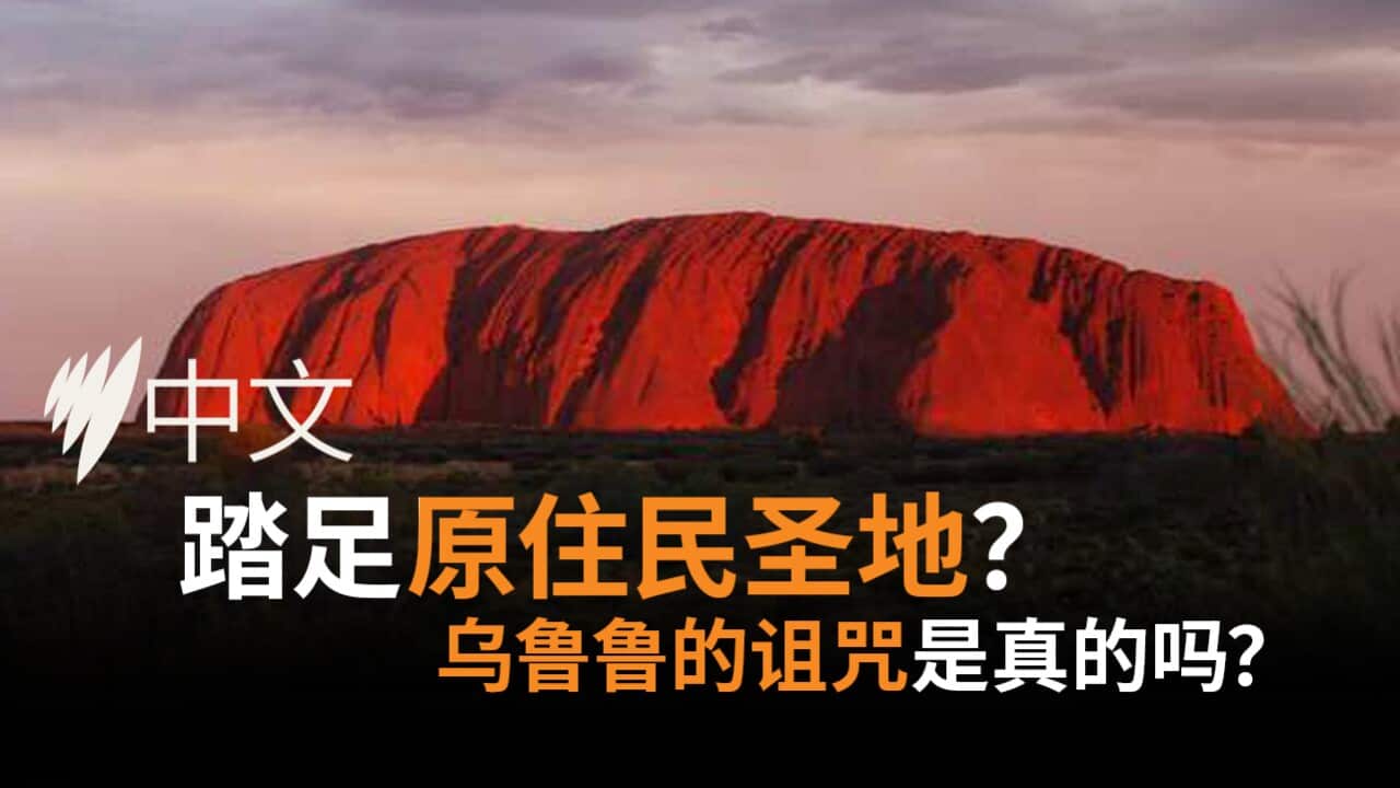 300525 SC ULURU THUMBNAIL.jpg