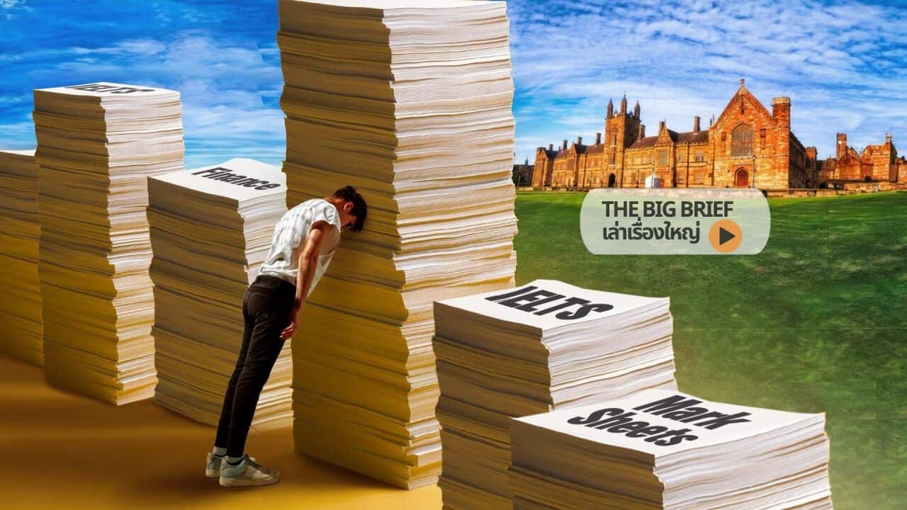 student visa 2 Copy of The Big Brief HEADER .jpg