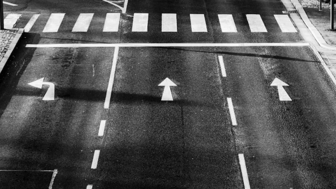 astrid lindgren kinderbuch kinderbücher literatur wohlleben wald abenteuer lesen