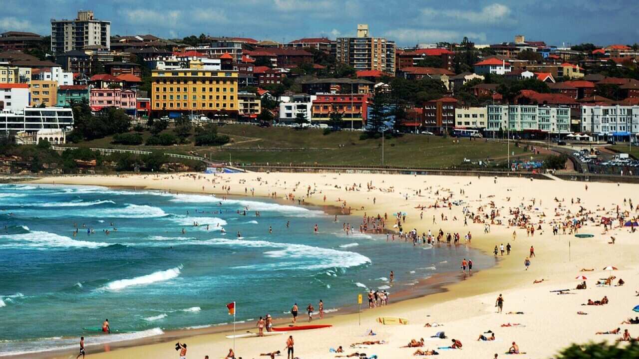 Dự kiến các bãi biển ở Sydney sẽ đông nghẹt vào cuối tuần