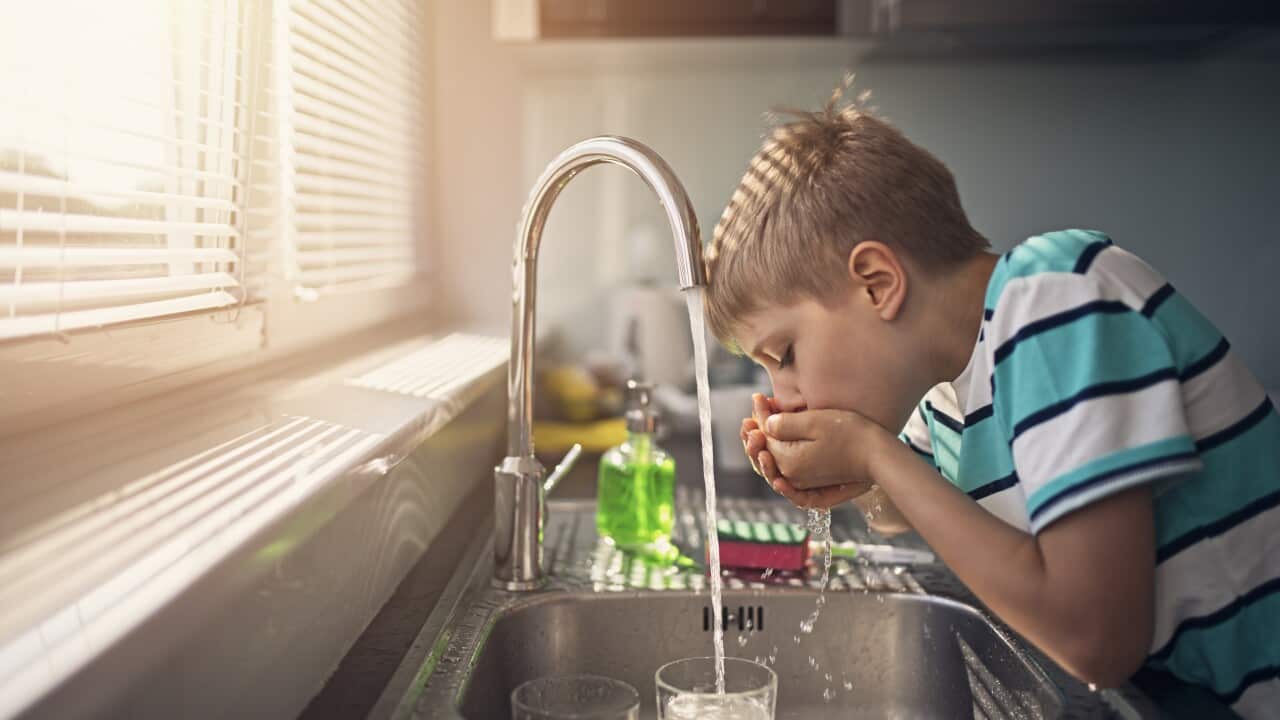 Little boy drinking tap water