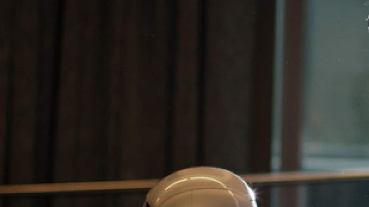 Chand Gudi and Habanero, the robot