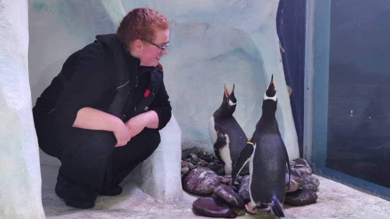 The Dingle Oceanworld Aquarium