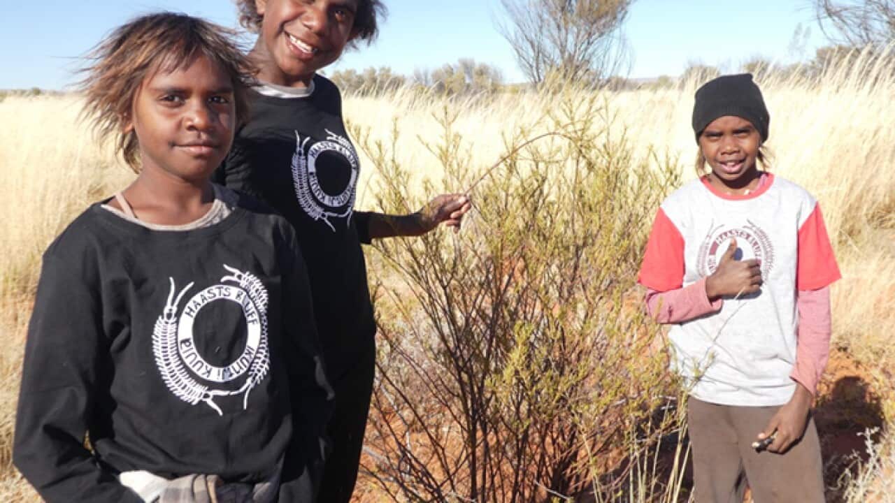 Aboriginal students on country