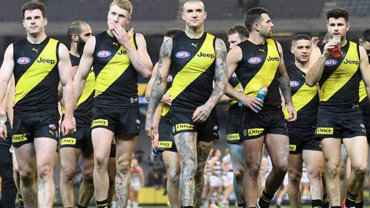 AFL TIGERS CATS