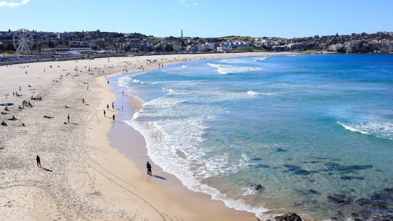 Bondi Beach