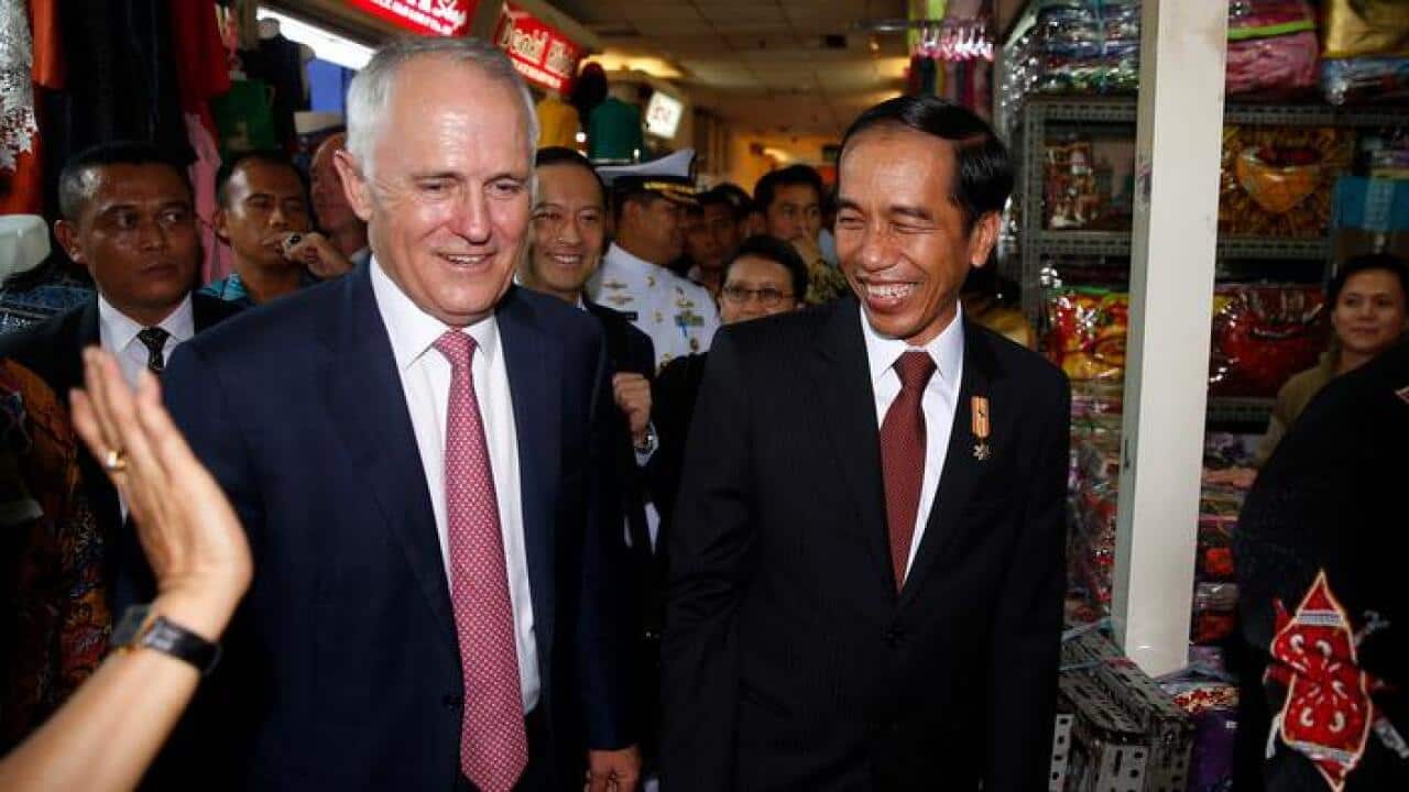 Malcolm Turnbull and Joko Widodo in Jakarta (AAP)