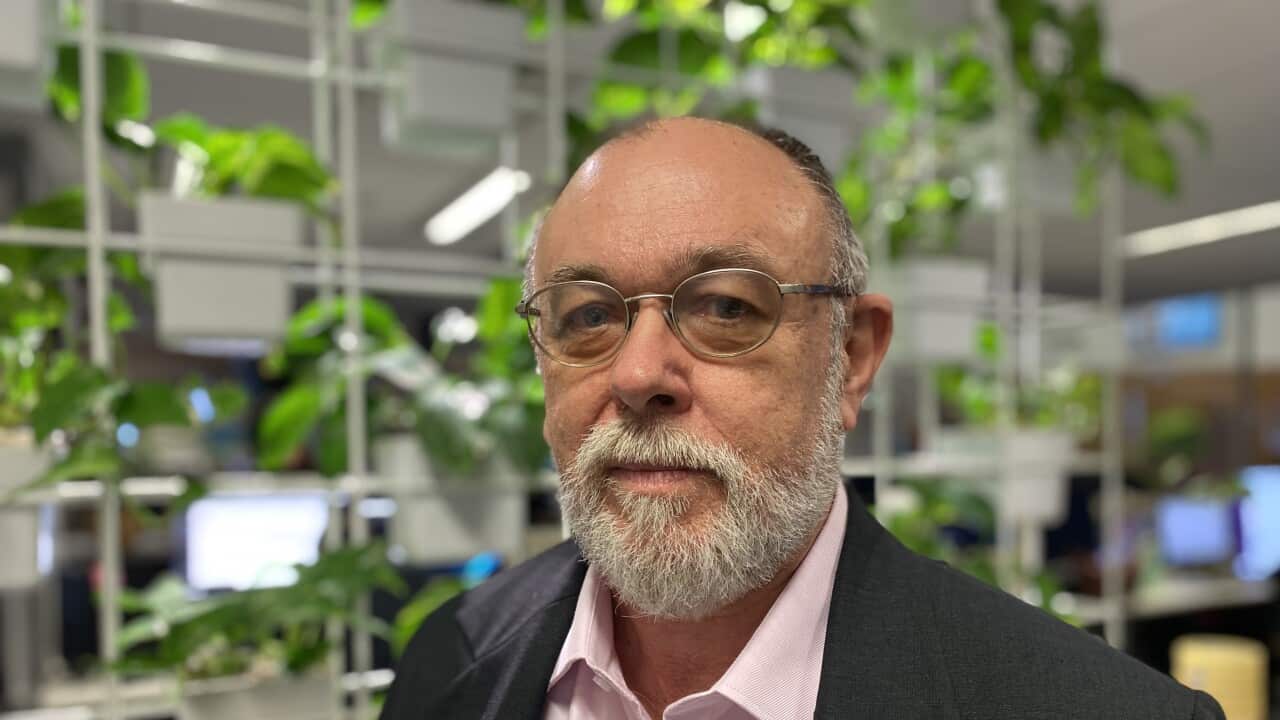 Angus Witherby is a city planner who says he can't afford to retire - SBS Insight .jpg