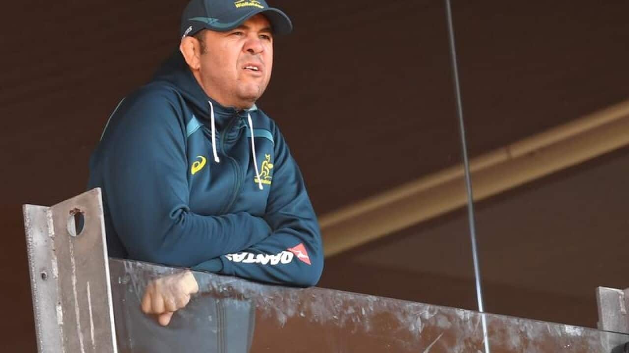 Wallabies coach Michael Cheika