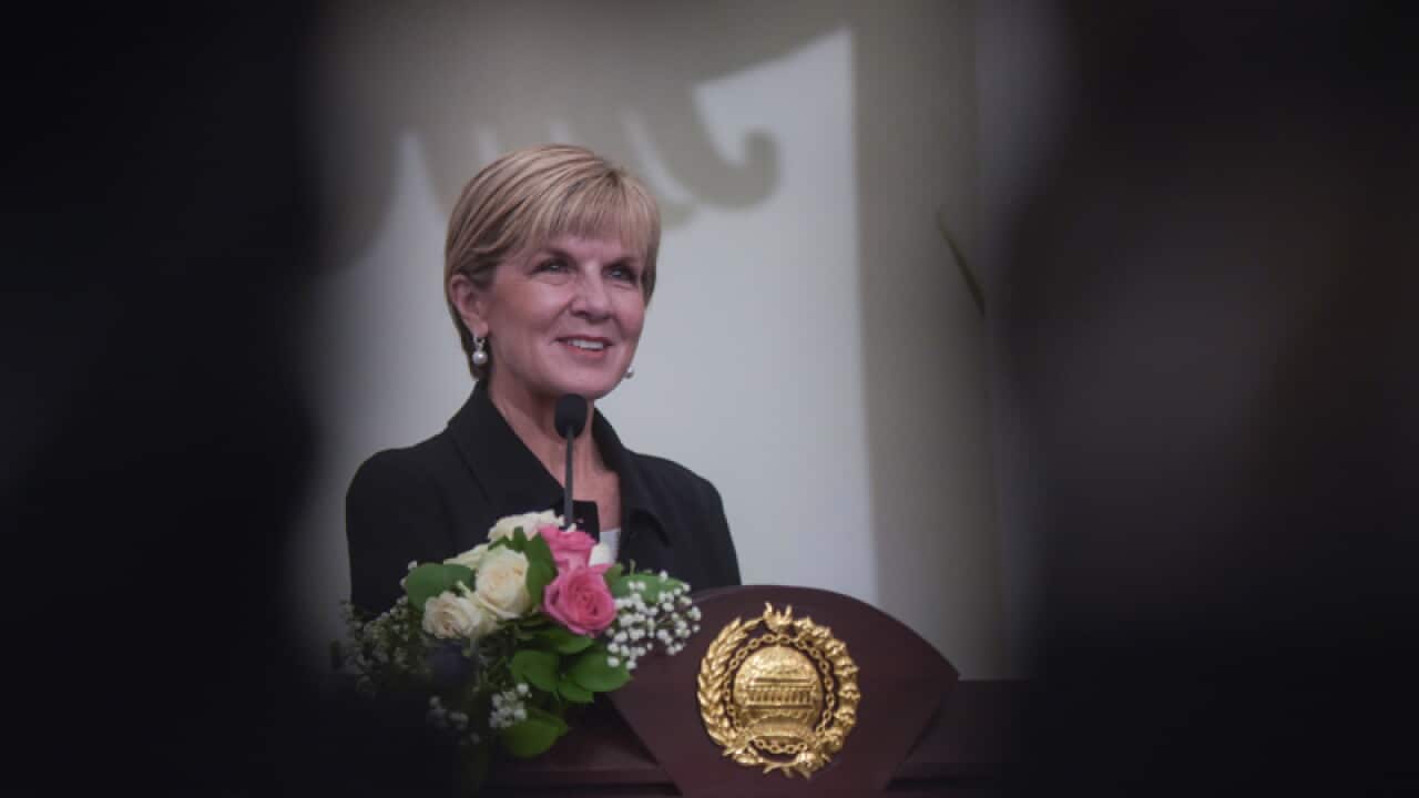 Foreign Minister Julie Bishop