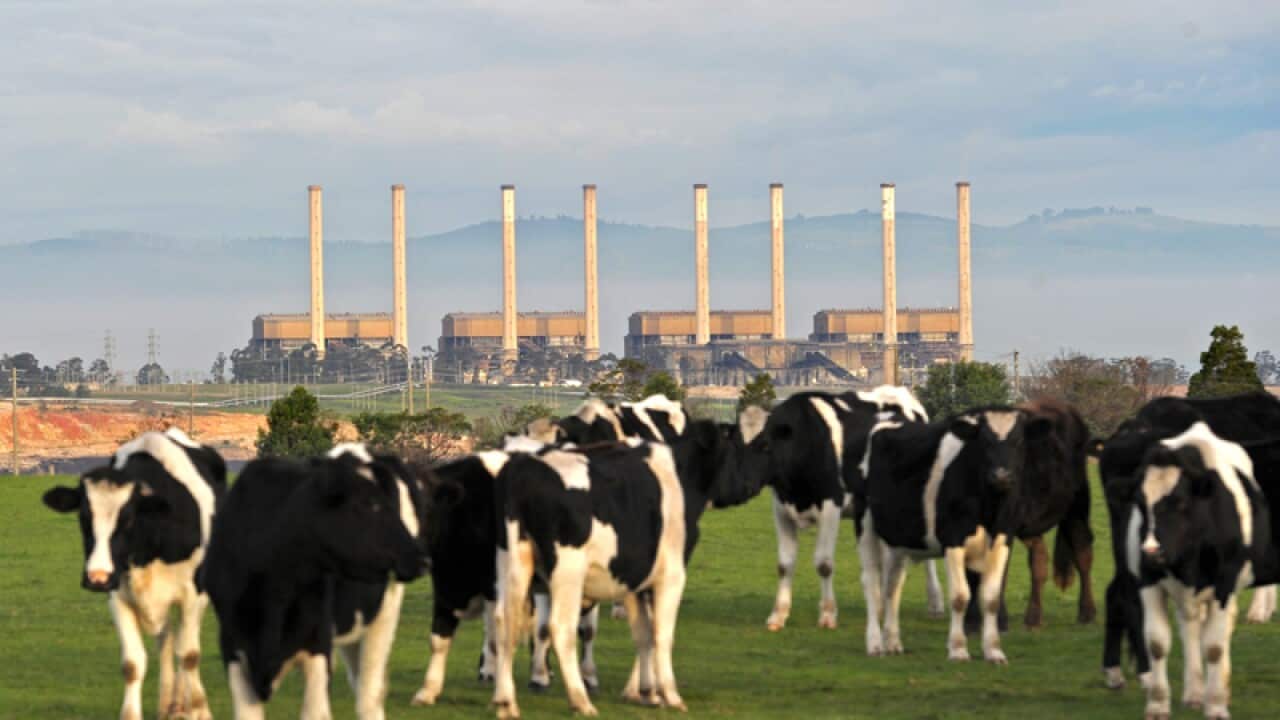The Hazelwood power station in the La Trobe Valley