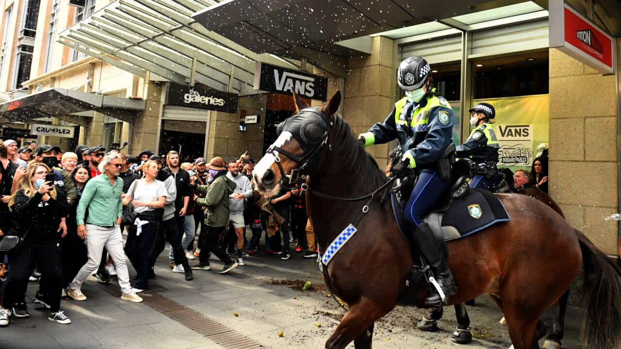 Police have vowed to track down and identify everyone who attended an anti-lockdown protest in Sydney on Saturday.