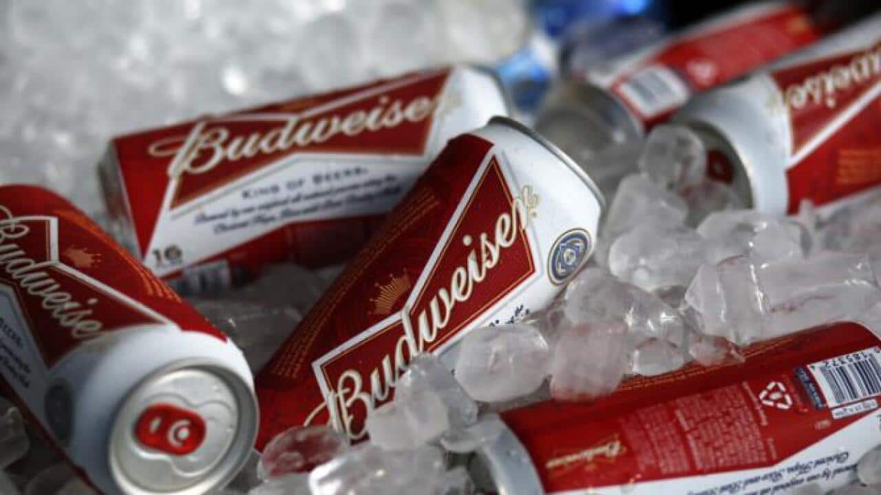 beer crash