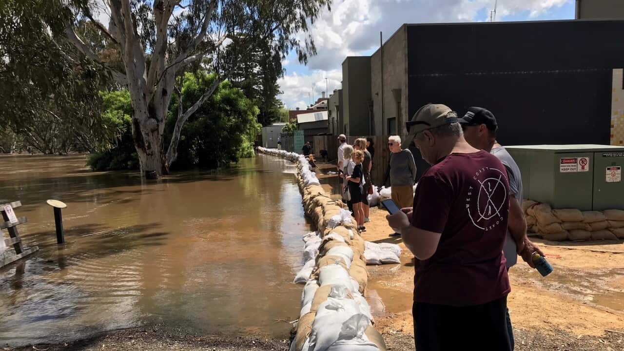 Image for read more article 'ΑΚΟΥΣΤΕ ΑΚΟΜΑ '