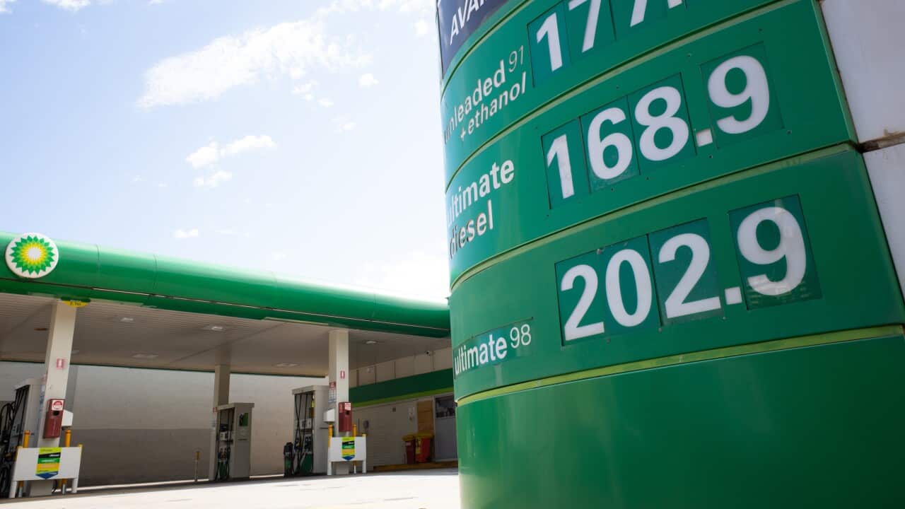 Image for read more article 'READ MORE'