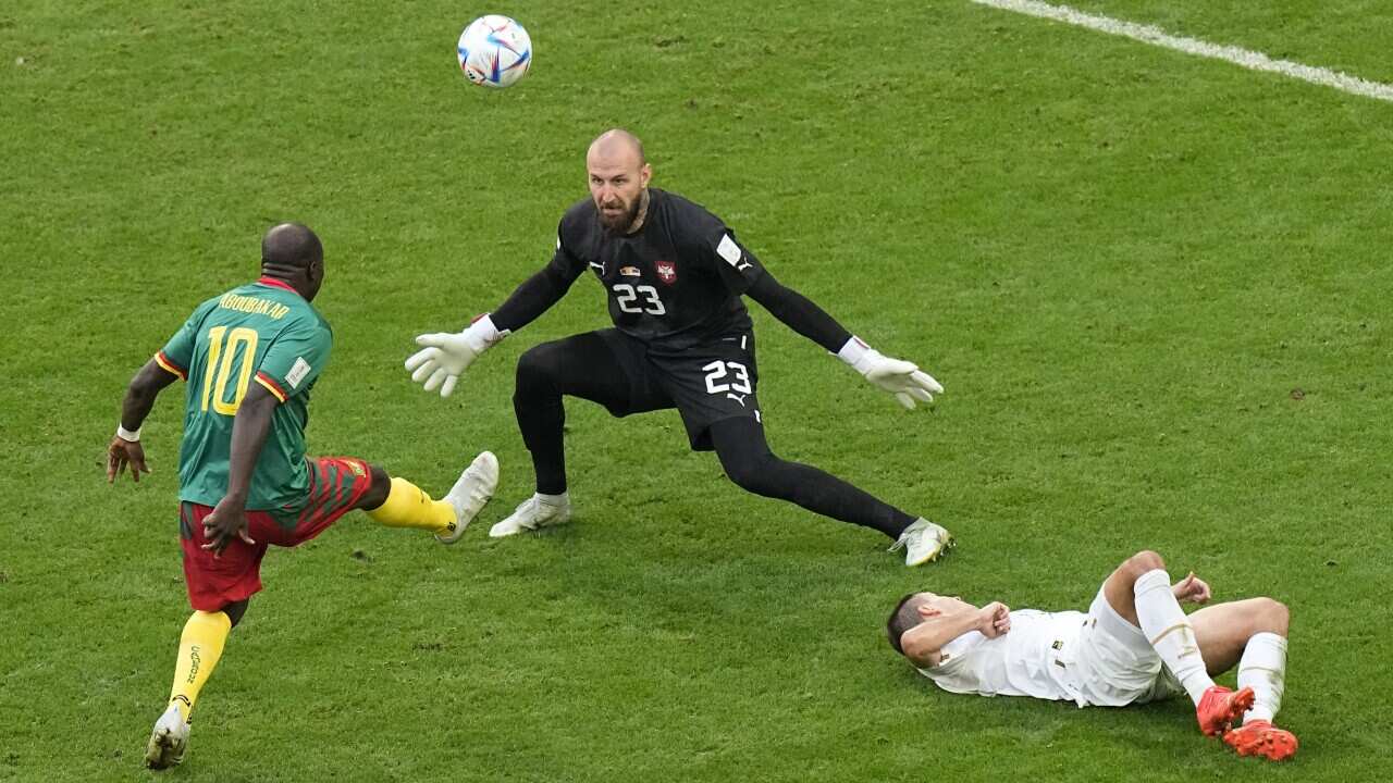 WCup Cameroon Serbia Soccer