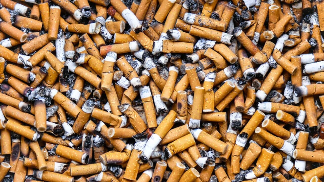 how to use tobacco pouches How to Use Snus & Nicotine Pouches – A Beginner's Guide how to use tobacco pouches How to Use Snus & Nicotine Pouches – A Beginner's Guide