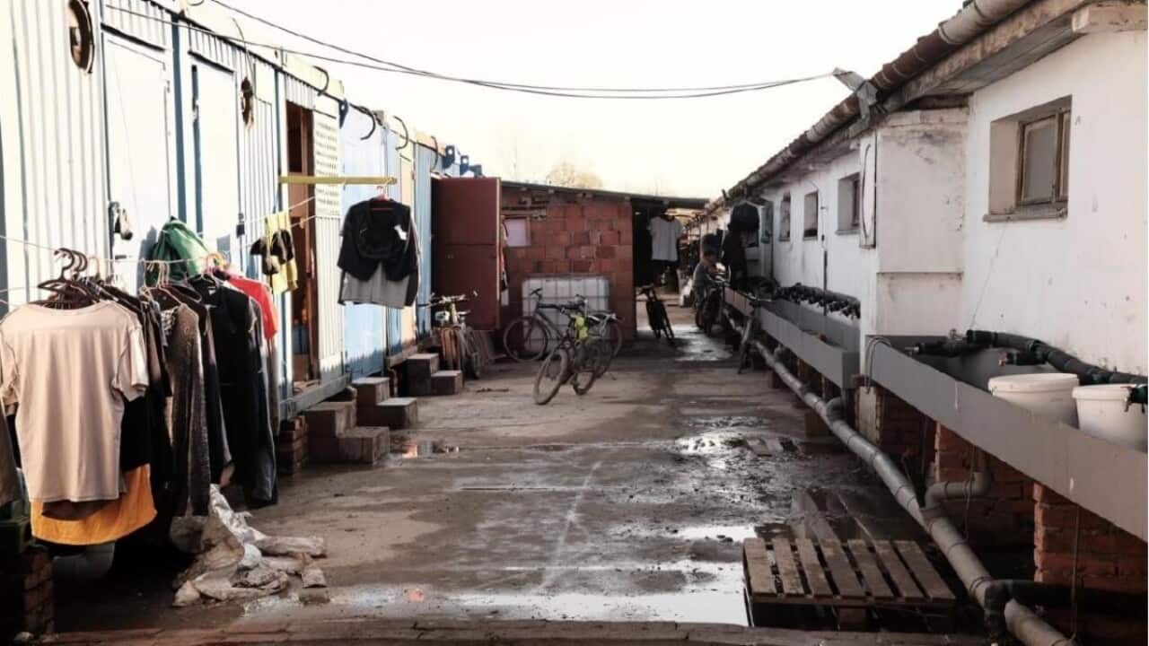 Living condition of Vietnamese laborers' in Serbia