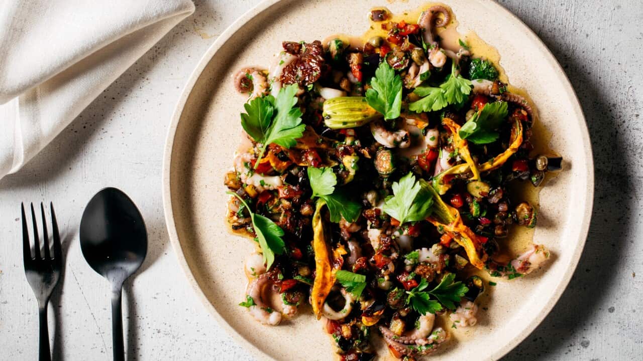 Grilled baby octopus