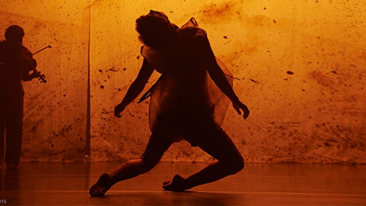 Cut the Sky opens at the Sydney Festival