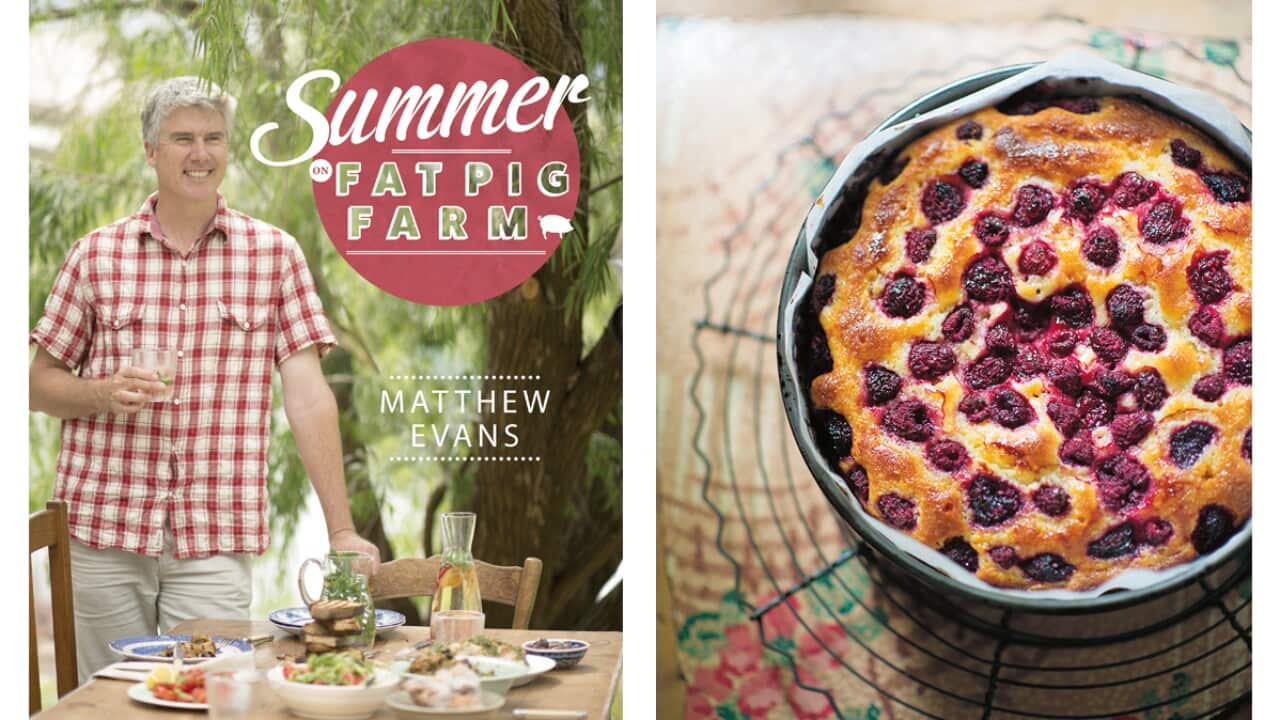 Summer on Fat Pig Farm