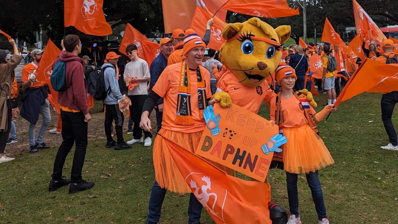 Image for read more article ''