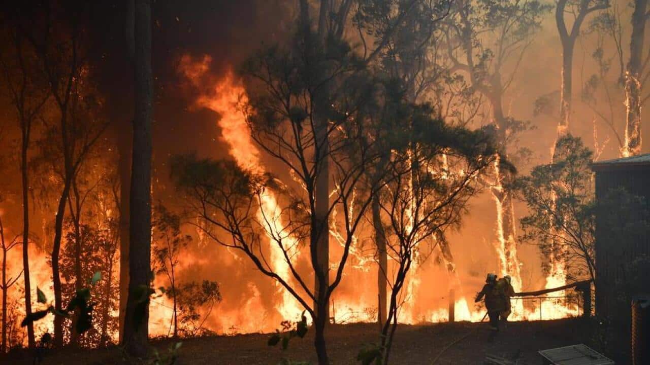 Bushfire forces schools to close across South Australia