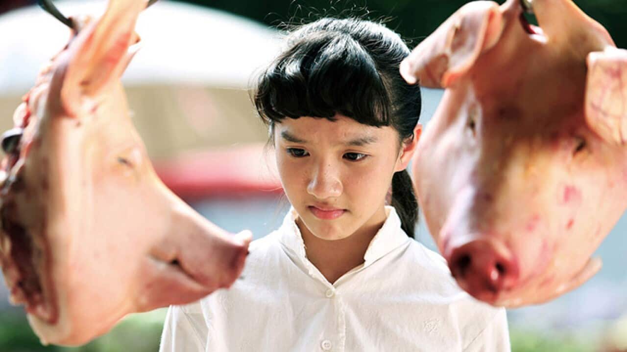 What's in the Darkness