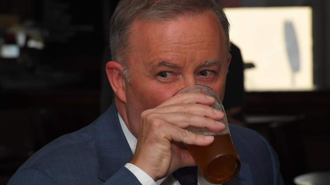 Albanese beer