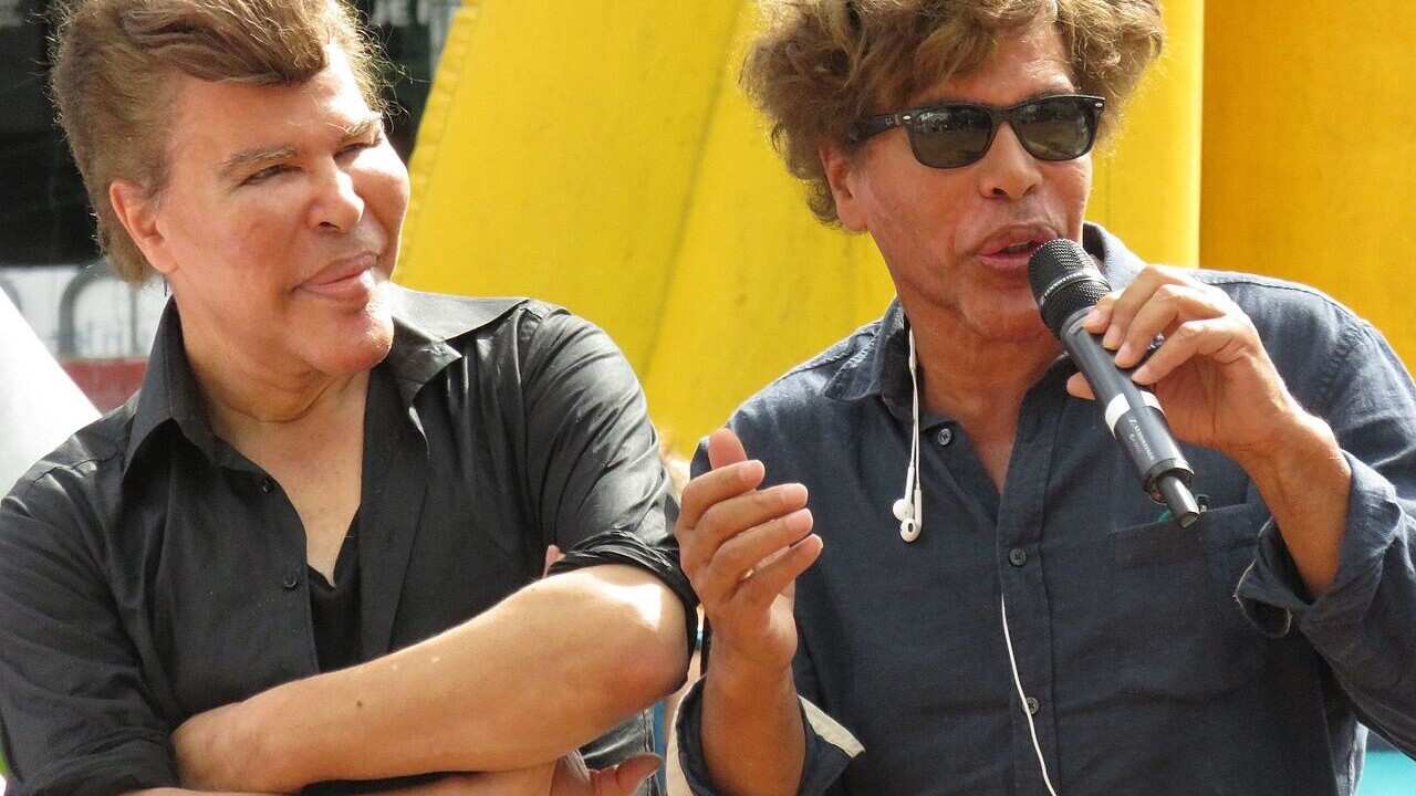 Les frères Bogdanov