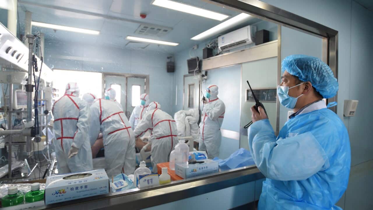 Medical staff treat a H7N9 bird flu patient
