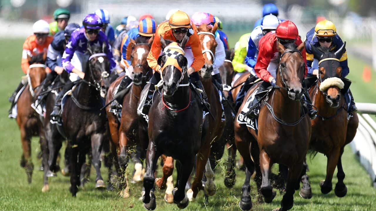 The Melbourne Cup at Flemington Racecourse in 2018.