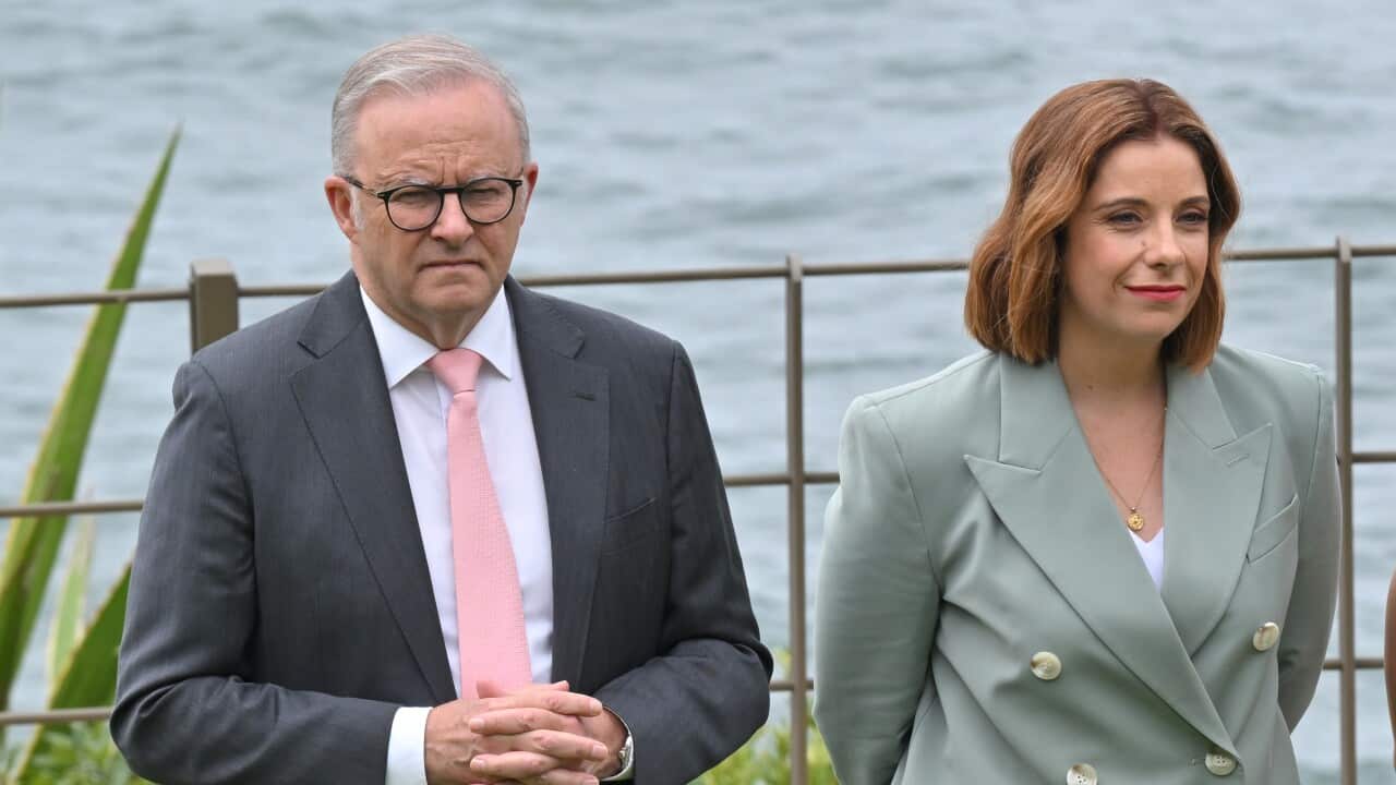 Anthony Albanese and Anika Wells stand on the grass in a harbour location.